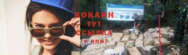 соль ск Волосово