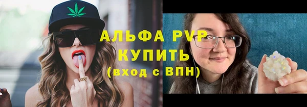 винт Верея