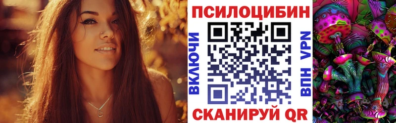 купить закладку  Гвардейск  Псилоцибиновые грибы прущие грибы 
